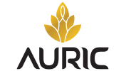 Auric