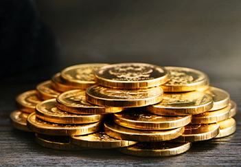 Malabar Gold Coin
