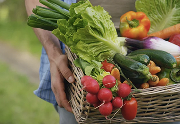 BigBasket