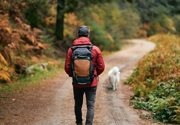 Fastrack Bags